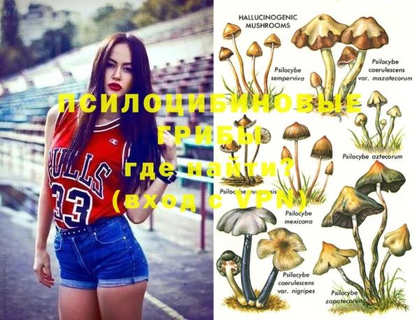 твердый Алексеевка