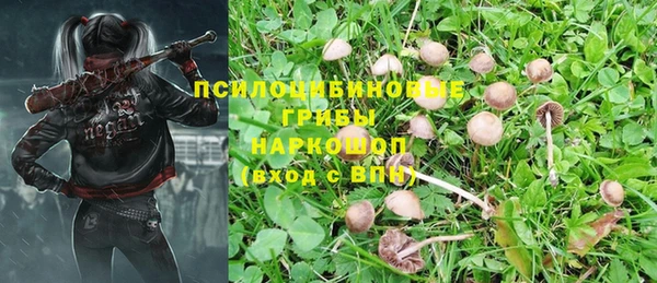 2c-b Алзамай
