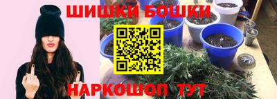 a pvp Бийск
