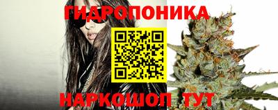 a pvp Бийск