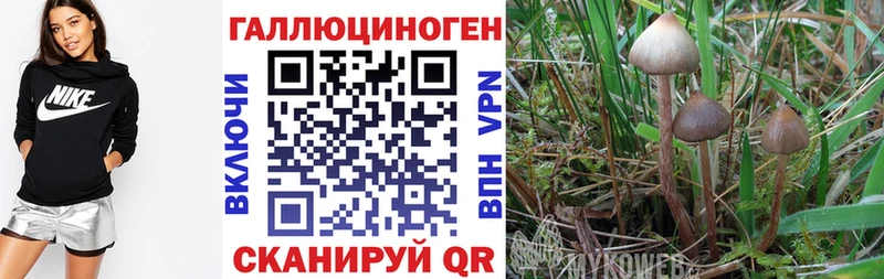 Псилоцибиновые грибы ЛСД  Брянск 