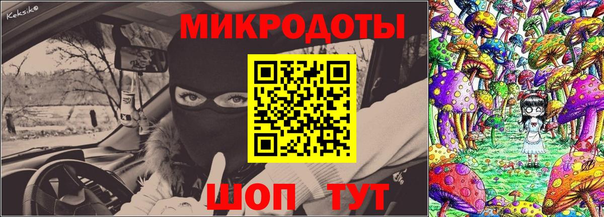 купить наркотик  Псилоцибиновые грибы GOLDEN TEACHER  Вход с VPN  Брянск 